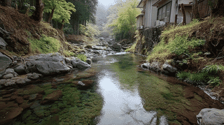 志津川のオキチモズク発生地