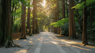 Why Is Ise Jingu Rebuilt Every 20 Years? The Mystery of Shikinen Sengu and 1,300 Years of Tradition | Mie Prefecture